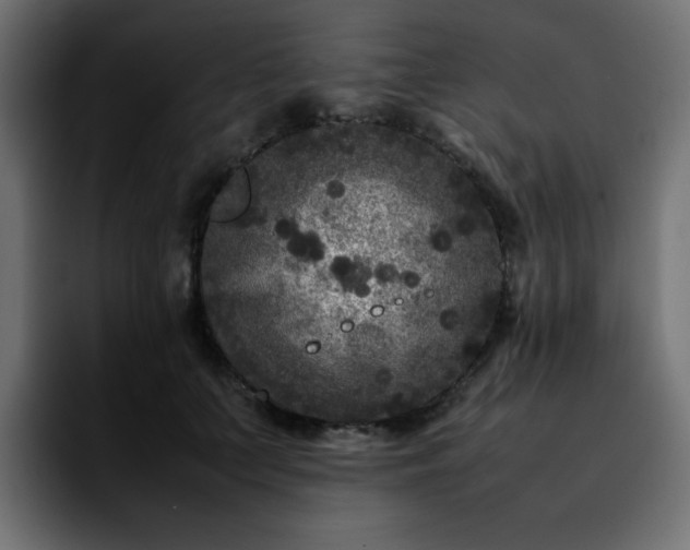 X0000092210703200709210950