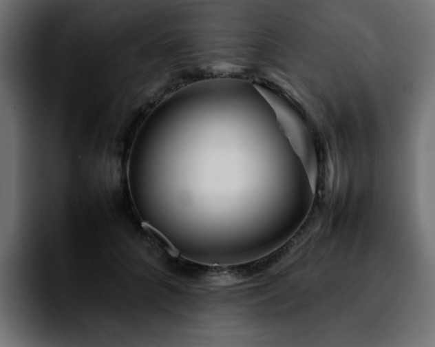 X0000092210704200709210950