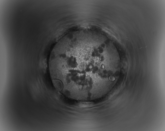 X0000092210707200709210950