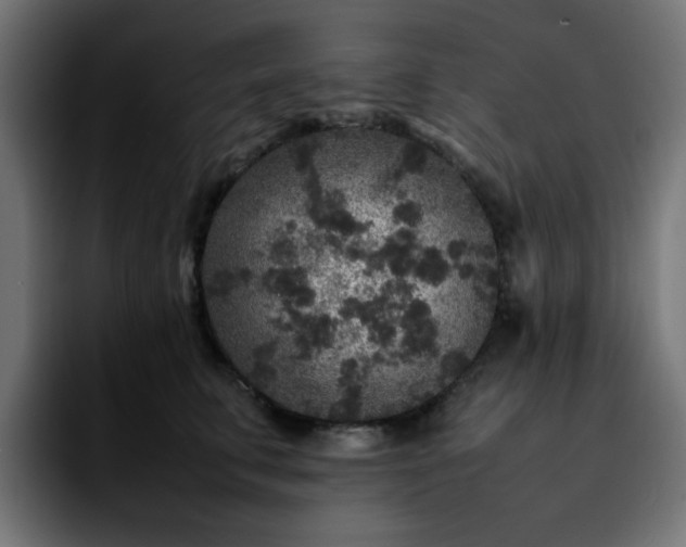 X0000092210711200709210950