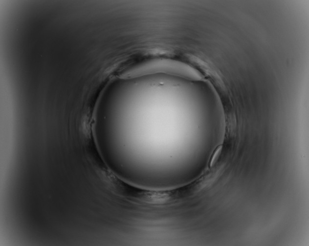 X0000092210719200709210950