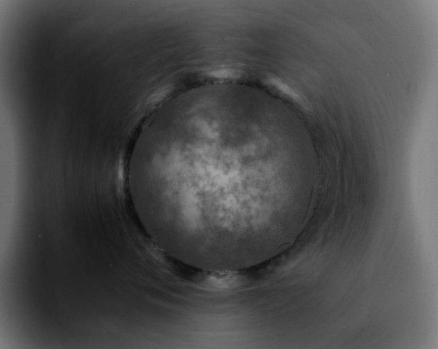 X0000092210720200709210950