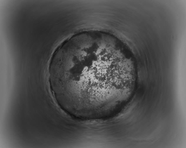 X0000092210721200709210949