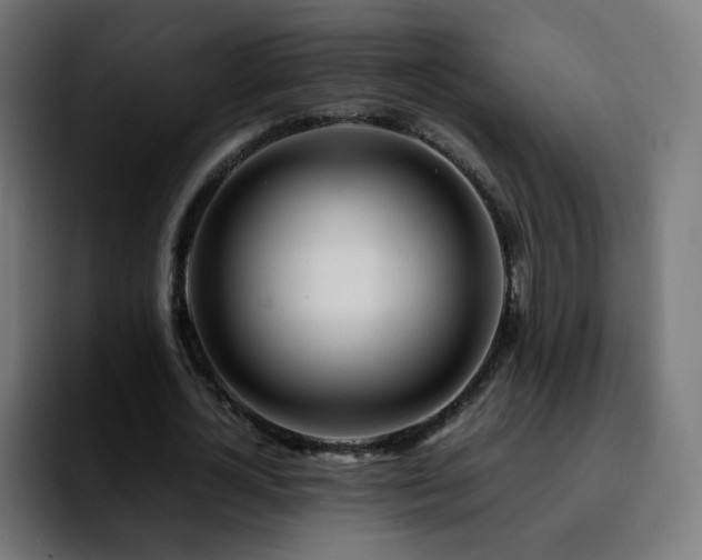 X0000092210724200709210949