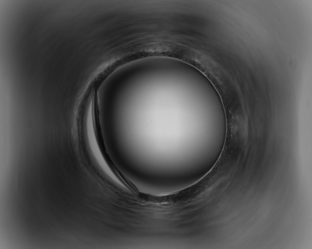 X0000092210727200709210949