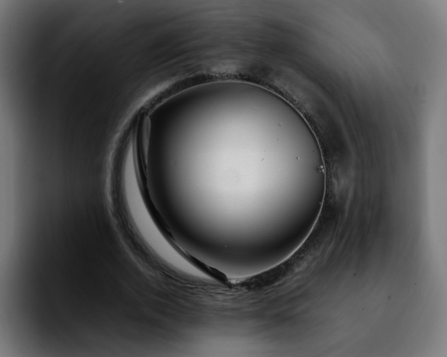 X0000092210728200709210949