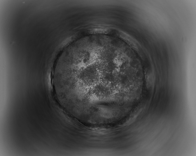 X0000092210729200709210949