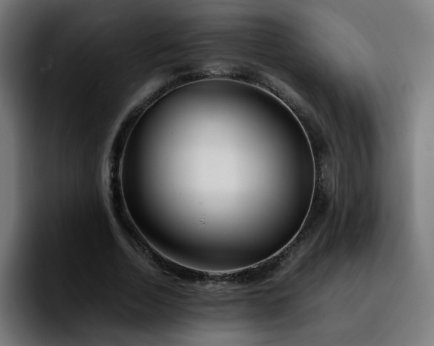 X0000092210730200709210949