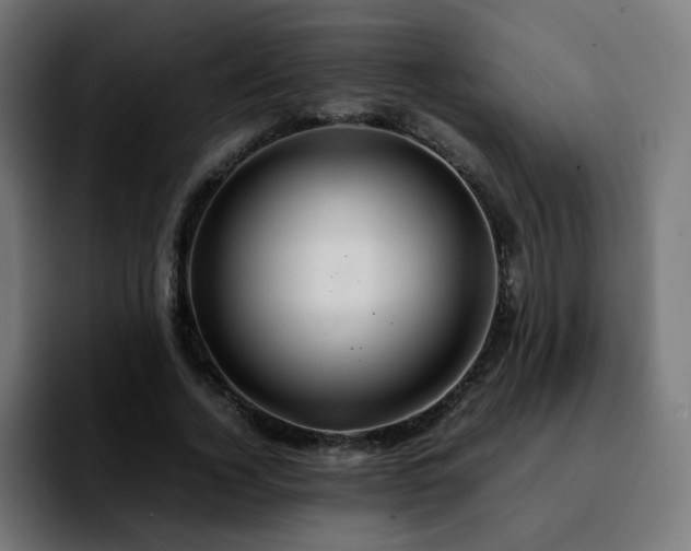 X0000092210732200709210949