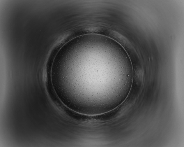 X0000092210734200709210949