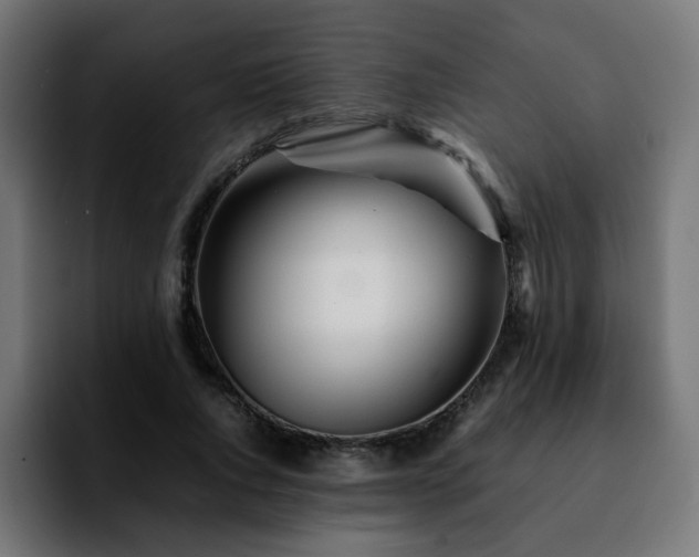 X0000092210736200709210949