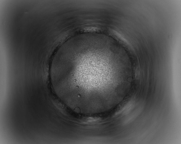 X0000092210737200709210949