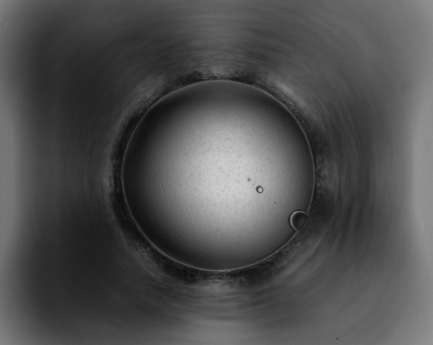 X0000092210738200709210949