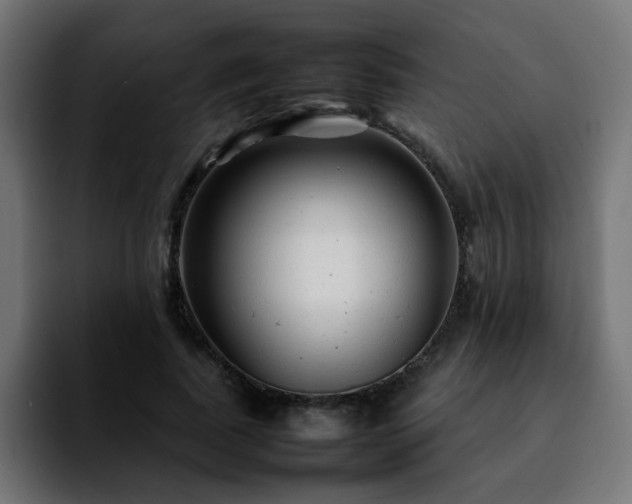 X0000092210739200709210949