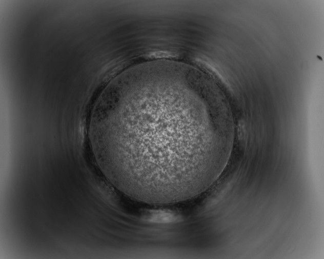 X0000092210741200709210949