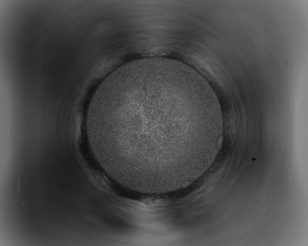 X0000092210742200709210949