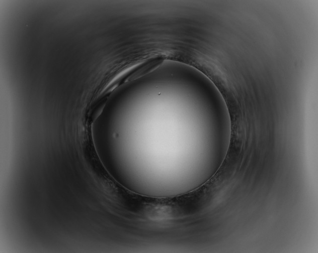 X0000092210743200709210949