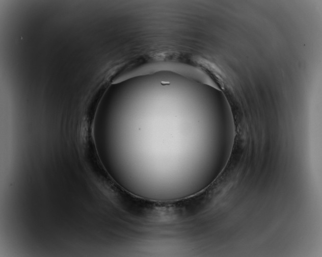 X0000092210744200709210949