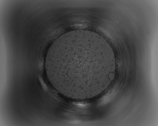 X0000092210745200709210949