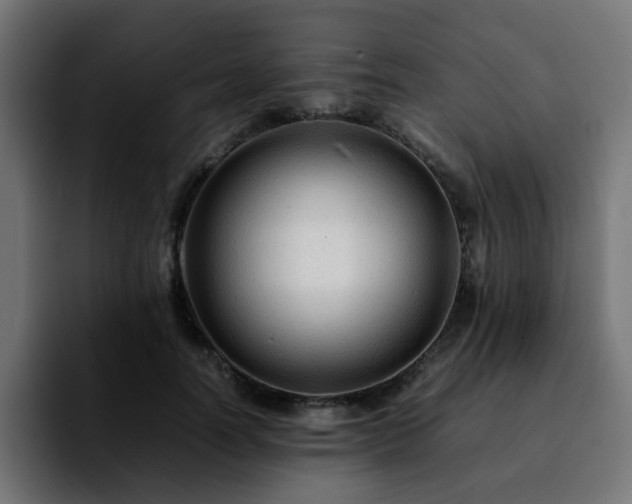 X0000092210746200709210949