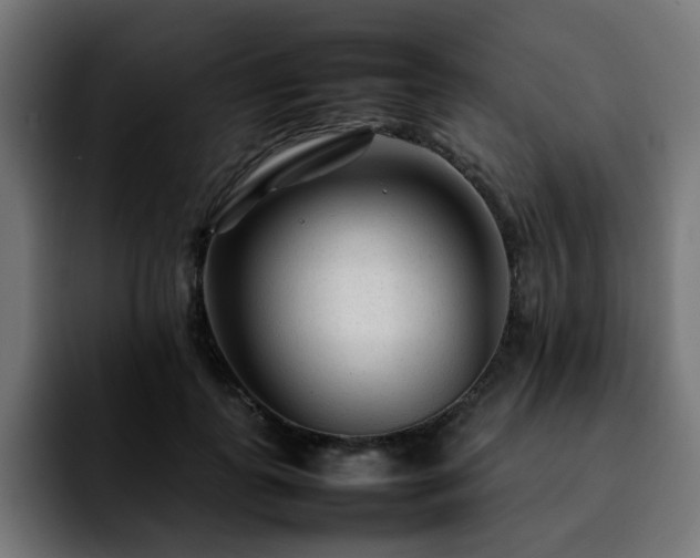 X0000092210747200709210949