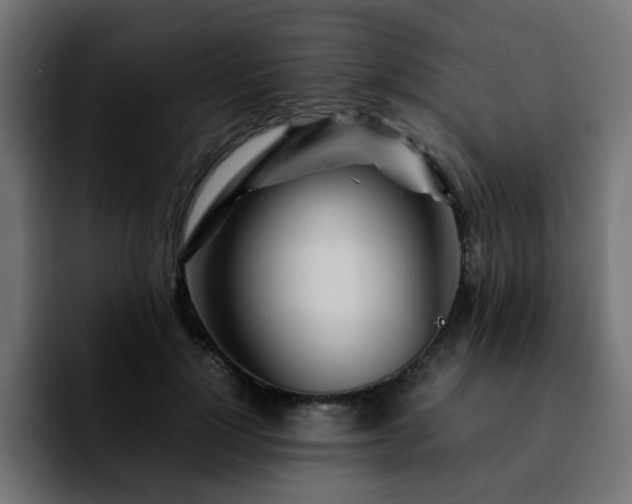 X0000092210748200709210949