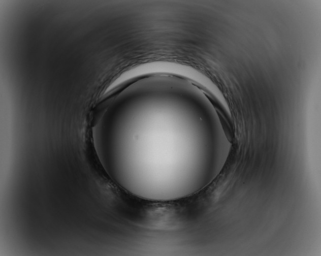 X0000092210750200709210949