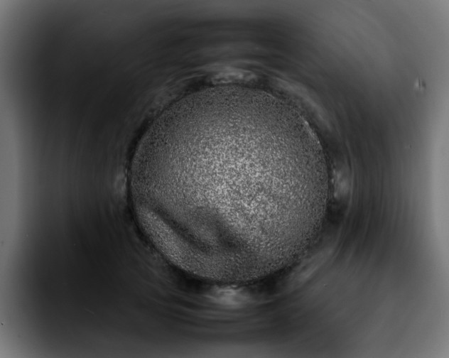 X0000092210753200709210949