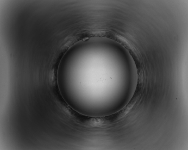 X0000092210764200709210950