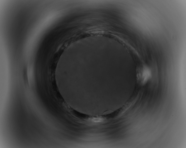 X0000092210767200709210950