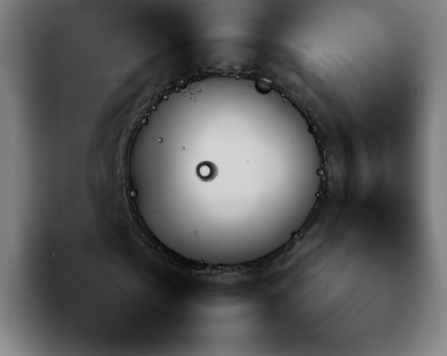 X0000092210769200709210949