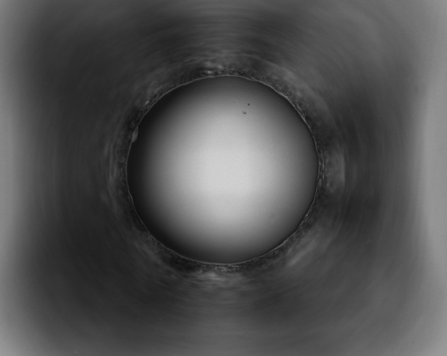 X0000092210770200709210949