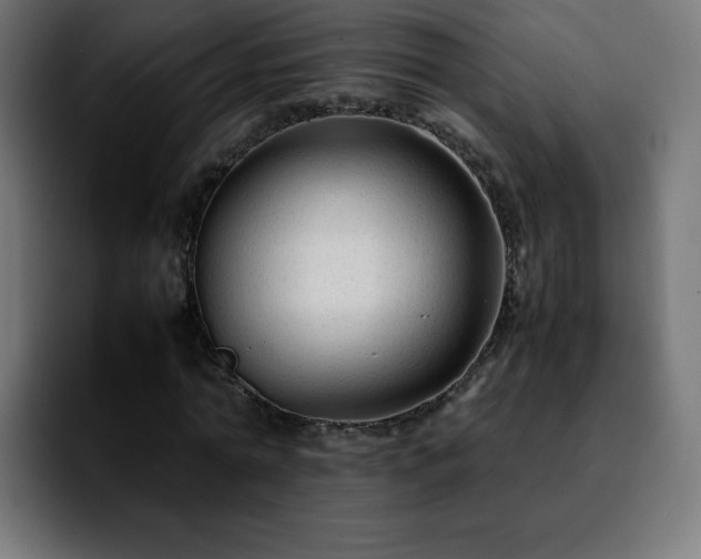 X0000092210774200709210949