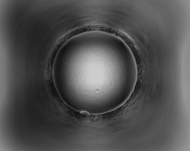 X0000092210775200709210949