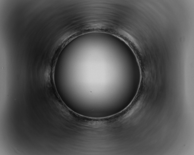 X0000092210778200709210949