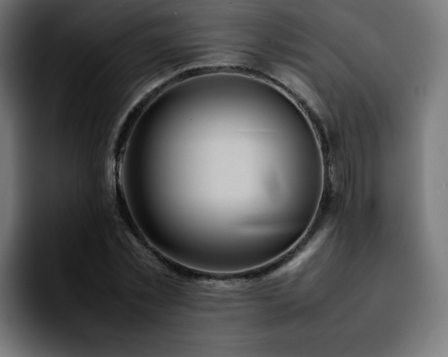 X0000092210781200709210949