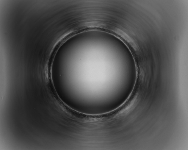 X0000092210782200709210949