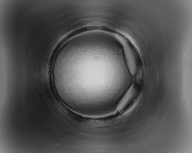 X0000092210783200709210949