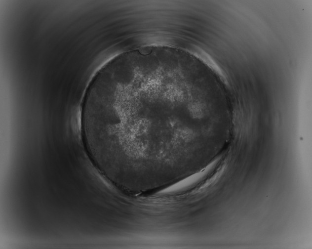 X0000092210790200709210949