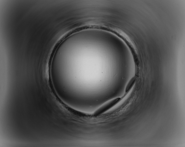 X0000092210791200709210949