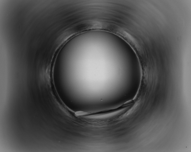 X0000092210794200709210949