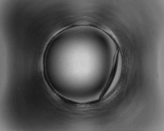 X0000092210795200709210949