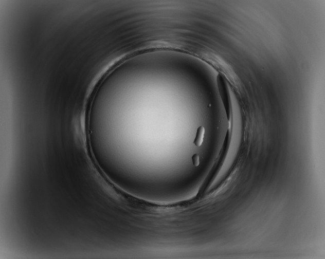 X0000092210796200709210949