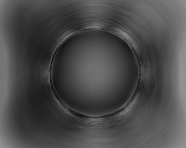 X0000092210802200709210949