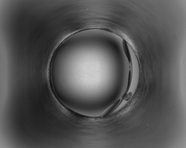 X0000092210803200709210949