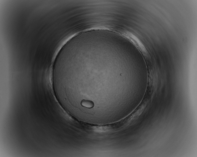 X0000092210804200709210949