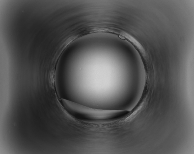 X0000092210809200709210949