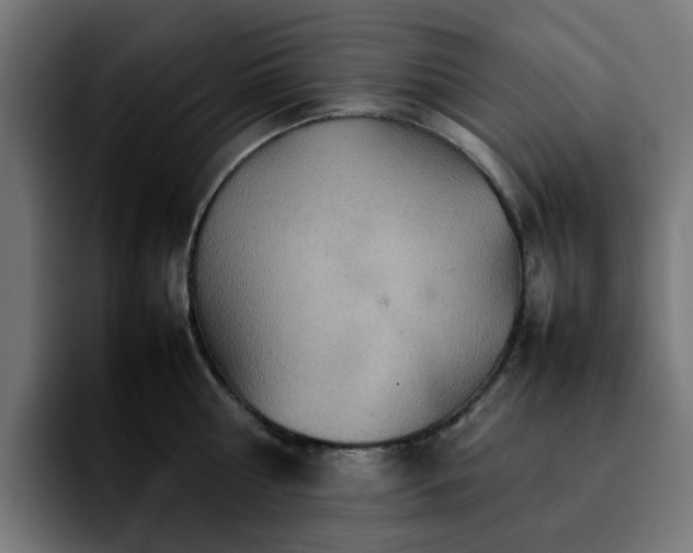 X0000092210810200709210949