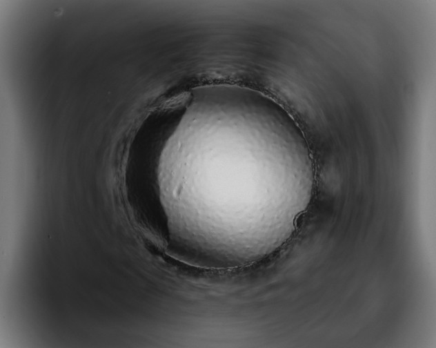 X0000092210817200709210948