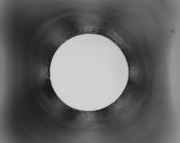 X0000092210820200709210948